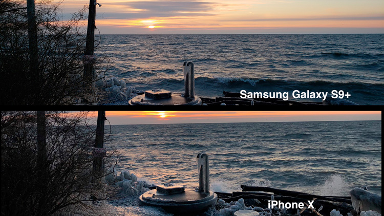 Фото на Galaxy S9 Plus и iPhone X